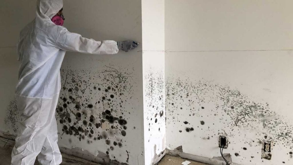 Water Damage Restoration Mckinney Tx